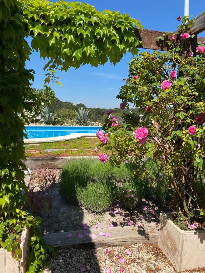 Casa Las 2 Salchichas Bocairent Eksteriør bilde